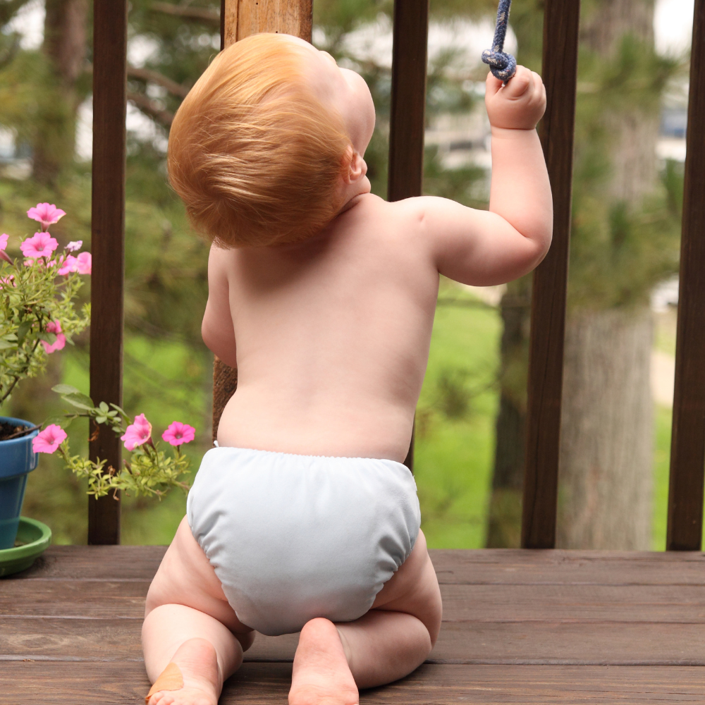 Eco Fresh Toile Reusable Diaper Service - Toddler